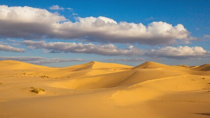 Fototapeta premium Sand dunes in the desert under a blue sky.