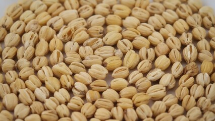 A view of oats or millet, raw and organic, showcasing their natural color and texture.
