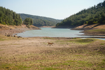 Half Dry Lake