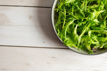 Fototapeta premium Mix salad leaves