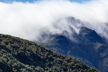 The fog in the mountains .