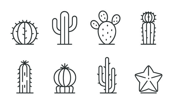Cactus icon set – outline style succulent and desert plant symbols for garden design, greenery, nature aesthetics, and landscaping: barrel, saguaro, prickly pear, tall cactus, star cactus