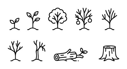 Tree growth progression icon set – linear style flora development and nature symbols for botanical growth stages, environment, and ecosystem: seedling, sapling, tree, fruit tree, bare tree, log,