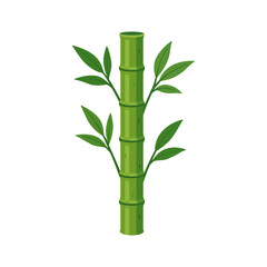 Fototapeta premium A vibrant vector illustration of a green bamboo stem with leaves, showcasing a simple, clean design