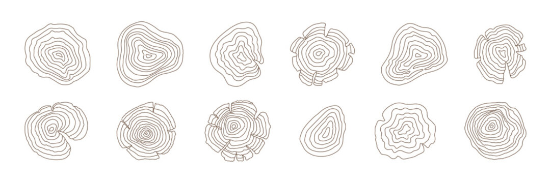 A collection of 12 thin-line tree ring illustrations in a minimalist style, showcasing organic wood grain patterns on a white background. Editable stroke