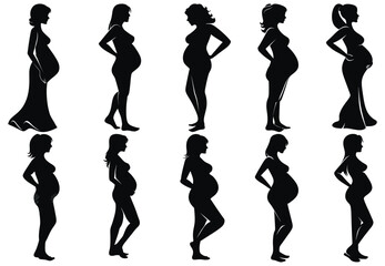 A set of pregnant lady silhouette vector illustration pregnant woman