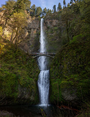 Multnomah Falls in Spring 2025