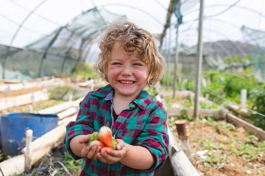 Young boy standing inside greenhouse, holding freshly harvested carrots with raised beds and bucket