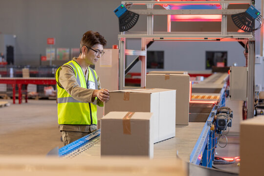 Middle-aged Asian man inspecting boxes on conveyor in warehouse, with scanners, copy space