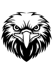 Eagle Face Close up 