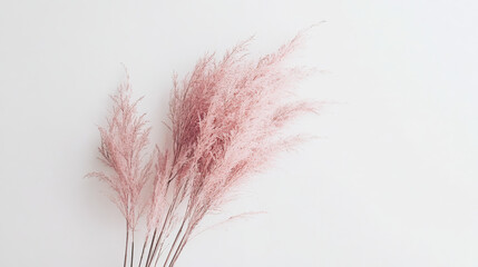 Fototapeta premium A bunch of pink flowers are blowing in the wind
