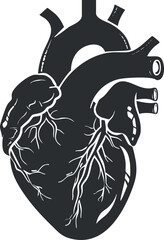 Detailed illustration of a human heart showcasing arteries and veins in a stylized design.