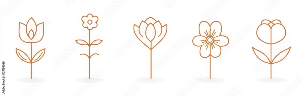 Poster simple linear style illustrations and modern design elements are incorporated into packaging templat