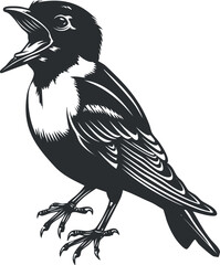 A detailed black and white illustration of a singing bird with an open beak.