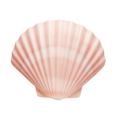 Fototapeta premium Isolated wide fan shaped pink scallop shell on white background