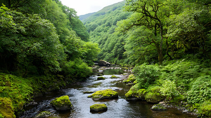 Serene Forest Stream With Lush Greenery