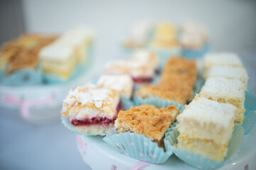 A Delicious and Beautiful Assortment of Colorful Desserts Elegantly Displayed for All