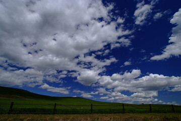 Naklejka premium clouds over the field, nature, summer