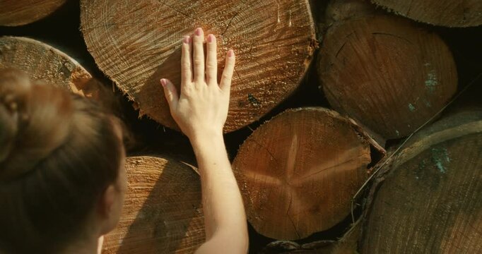 Woman touches cut tree trunk among a tall stacked pile of logs at a forest edge during summer day