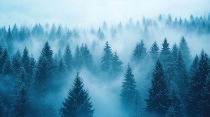 Mystical fir forest landscape disappearing into dreamy fog with vintage vibe
