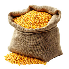 Yellow lentils in burlap sack agriculture harvest food grains