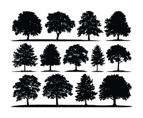 Elegant Ash Tree Silhouette Collection Vector Template