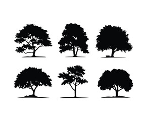 Minimal Nature Ash Tree Silhouette Collection Illustration