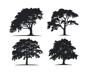 Simple Ash Tree Silhouette Illustration Set