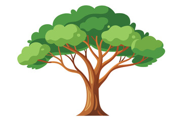 Illustration of Eucalyptus tree isolated on white.