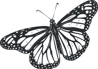 A detailed illustration of a butterfly showcasing its delicate wings and intricate patterns.