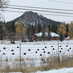 Snowy mountain landscape with red house, hay bales, and power lines; perfect for winter travel brochures