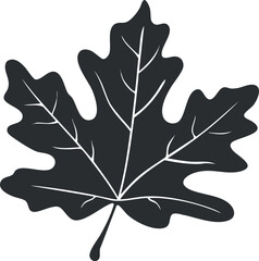 Obraz premium A black silhouette of a maple leaf illustrating natural beauty and seasonal change.