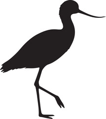 Avocet Bird Silhouette Standing in Water