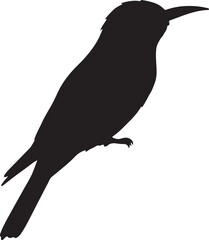 Bee-eater Silhouette Catching Insect