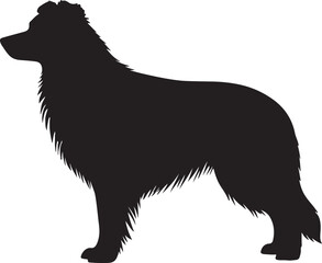 Border Collie Silhouette in Action Pose