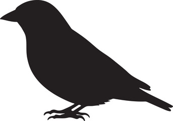 Brambling Bird Silhouette Perched on Branch