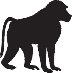 Chacma baboon vector silhouette on white background