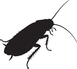 Cockroach vector silhouette on white background