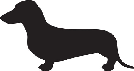 Dachshund vector silhouette on white background