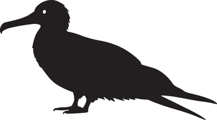 Fototapeta premium Frigatebird vector silhouette on white background