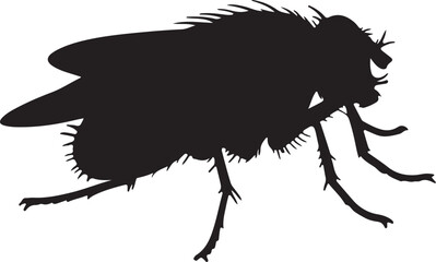 Housefly Silhouette