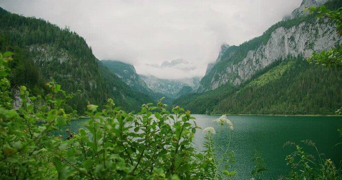 Mountain lake surrounded by lush greenery in Gosau Austria, with plants framing the foreground