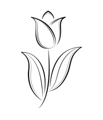 spring flower one line art. spring tulip. march 8. international women's day	
