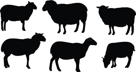 A collection of sheep silhouettes in various poses against a white background in a simple illustration