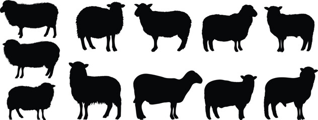 A collection of sheep silhouettes in black against a white background arranged in a pattern formation