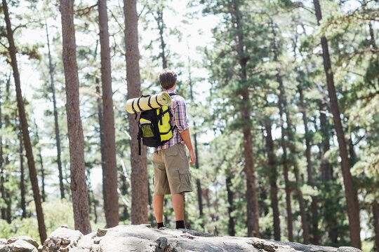 Fototapeta Man standing on rock outcrop in dense pine forest, carrying large backpack and rolled sleeping mat