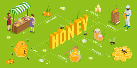 An isometric vector scene with a beekeeper inspecting a hive, honey jars on market stand, bees flying, honeycombs, flowers and the word HONEY in bold 3D letters a full honey production process.