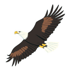 Fototapeta premium Bald eagle illustration soaring through the sky in a modern flat design style showcasing its majestic wings and strong features