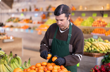 Adult man seller in apron puts fresh tangerines on display in vegetable shop