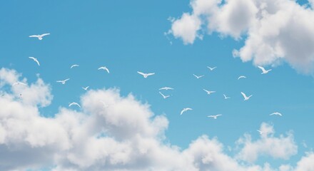A view of white birds flying freely against a bright blue sky with fluffy white clouds scattered around
